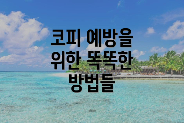 코피 예방을 위한 똑똑한 방법들