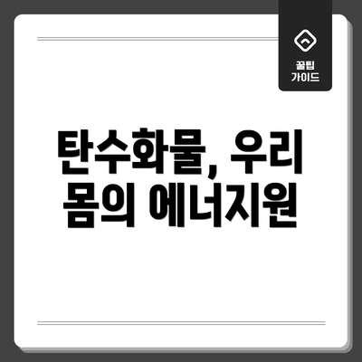 탄수화물, 우리 몸의 에너지원