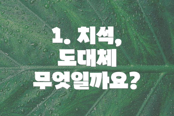 1. 치석, 도대체 무엇일까요?