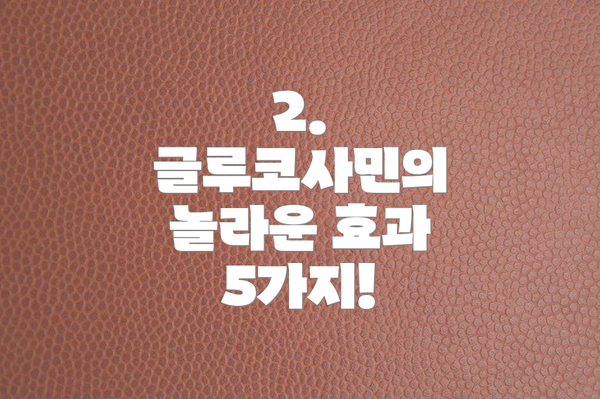 2. 글루코사민의 놀라운 효과 5가지!