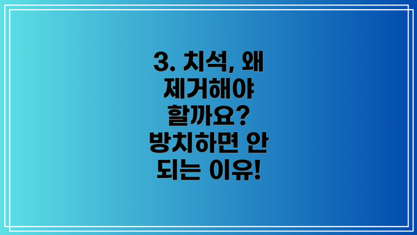 3. 치석, 왜 제거해야 할까요? 방치하면 안 되는 이유!