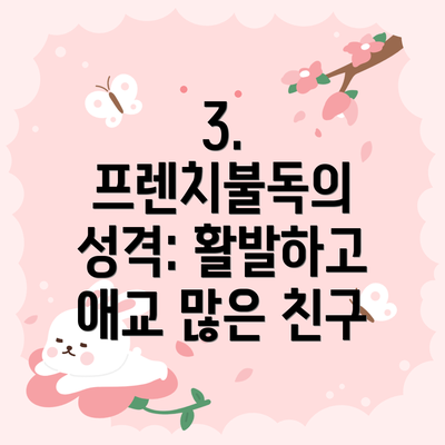 3. 프렌치불독의 성격: 활발하고 애교 많은 친구