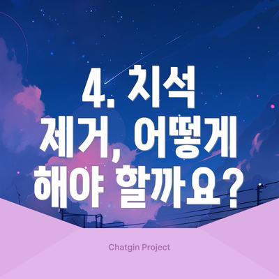 4. 치석 제거, 어떻게 해야 할까요?