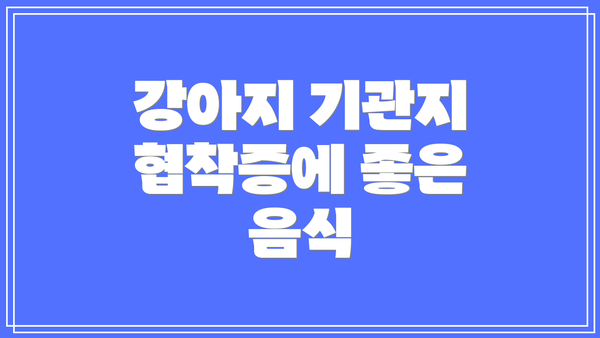 강아지 기관지 협착증에 좋은 음식