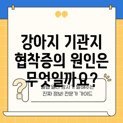 강아지 기관지 협착증의 원인은 무엇일까요?