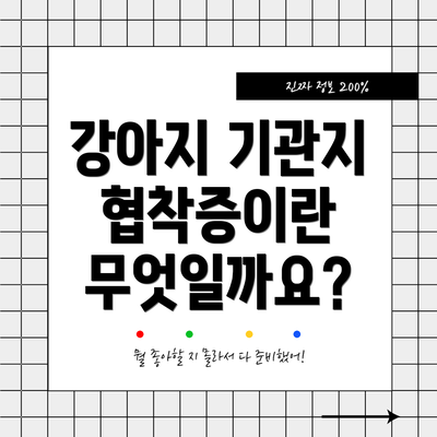 강아지 기관지 협착증이란 무엇일까요?