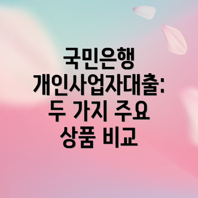 국민은행 개인사업자대출: 두 가지 주요 상품 비교