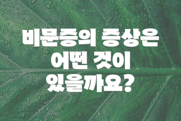 비문증의 증상은 어떤 것이 있을까요?