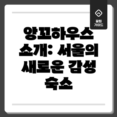 앙꼬하우스 소개: 서울의 새로운 감성 숙소