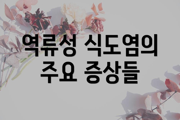 역류성 식도염의 주요 증상들