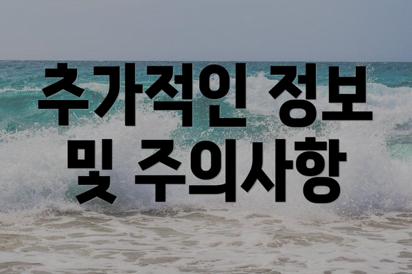 추가적인 정보 및 주의사항