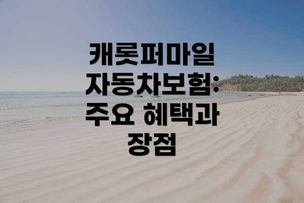 캐롯퍼마일 자동차보험: 주요 혜택과 장점