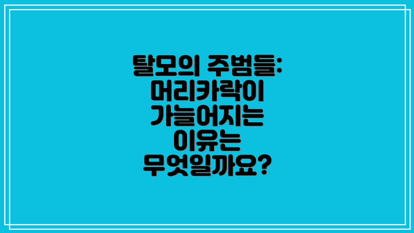 탈모의 주범들: 머리카락이 가늘어지는 이유는 무엇일까요?