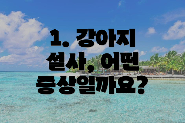 1. 강아지 설사, 어떤 증상일까요?