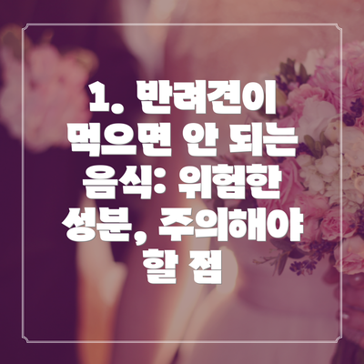 1. 반려견이 먹으면 안 되는 음식: 위험한 성분, 주의해야 할 점