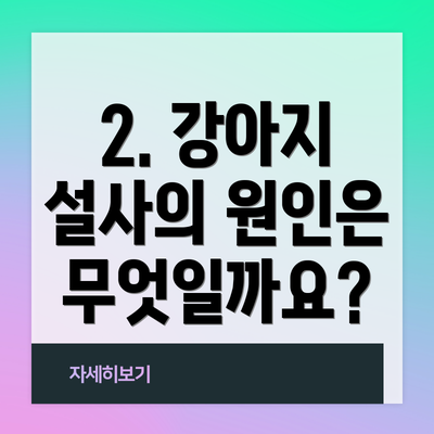2. 강아지 설사의 원인은 무엇일까요?