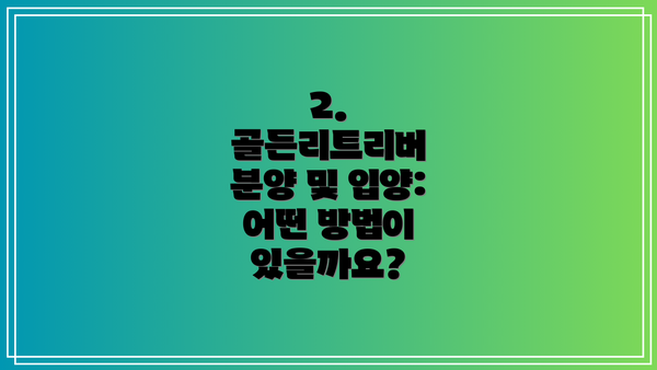 2. 골든리트리버 분양 및 입양: 어떤 방법이 있을까요?