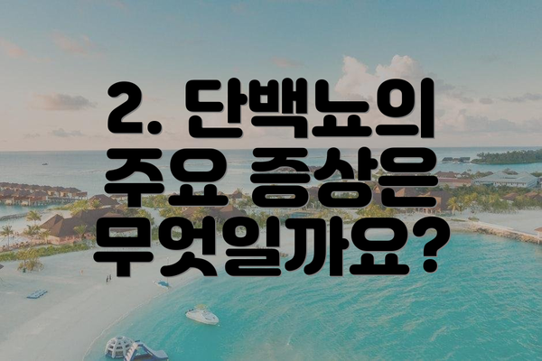 2. 단백뇨의 주요 증상은 무엇일까요?