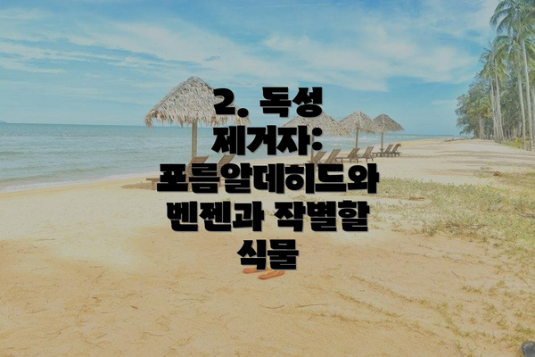2. 독성 제거자: 포름알데히드와 벤젠과 작별할 식물