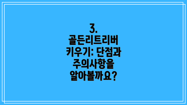3. 골든리트리버 키우기: 단점과 주의사항을 알아볼까요?
