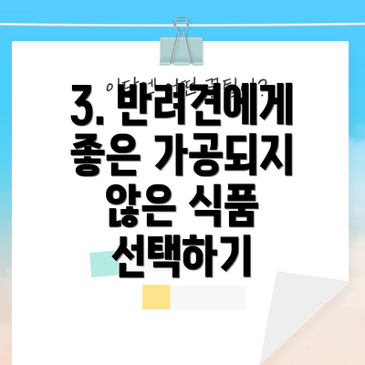 3. 반려견에게 좋은 가공되지 않은 식품 선택하기
