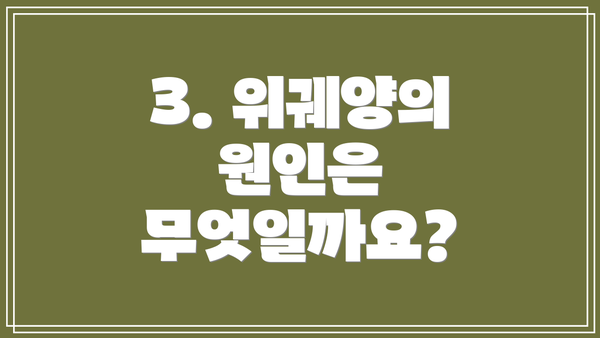 3. 위궤양의 원인은 무엇일까요?