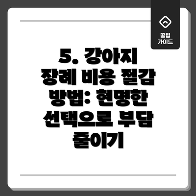 5. 강아지 장례 비용 절감 방법: 현명한 선택으로 부담 줄이기