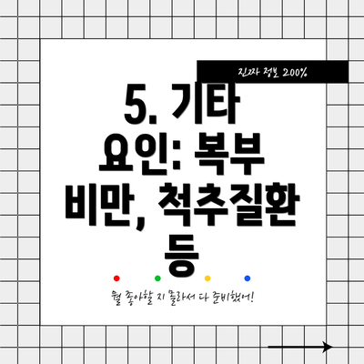5. 기타 요인: 복부 비만, 척추질환 등