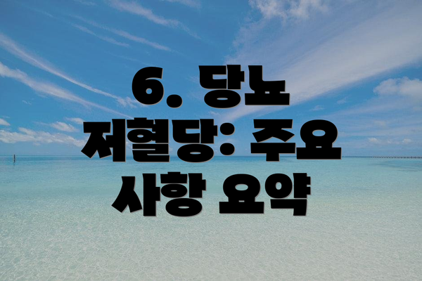 6. 당뇨 저혈당: 주요 사항 요약