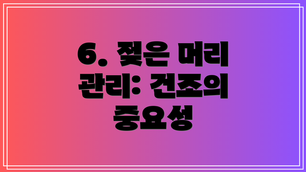 6. 젖은 머리 관리: 건조의 중요성