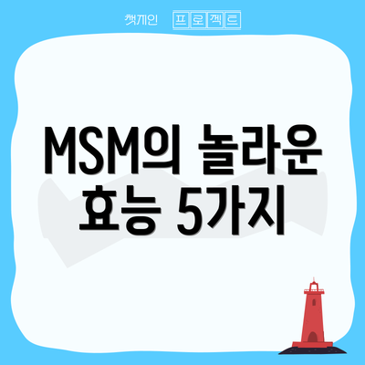 MSM의 놀라운 효능 5가지