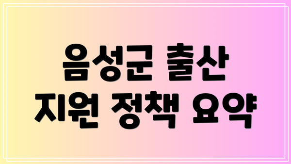 음성군 출산 지원 정책 요약
