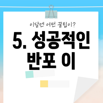 5. 성공적인 반포 이