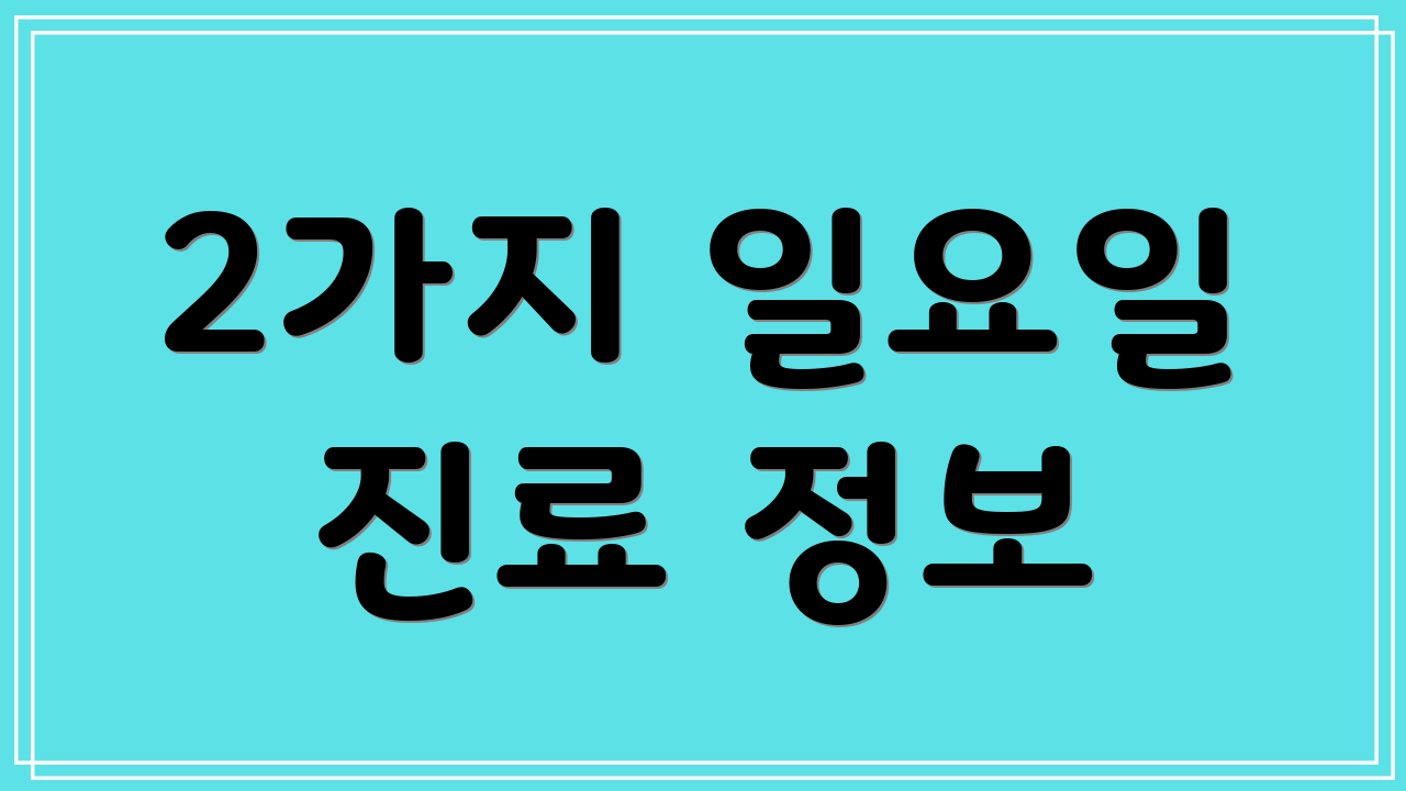 2가지 일요일 진료 정보