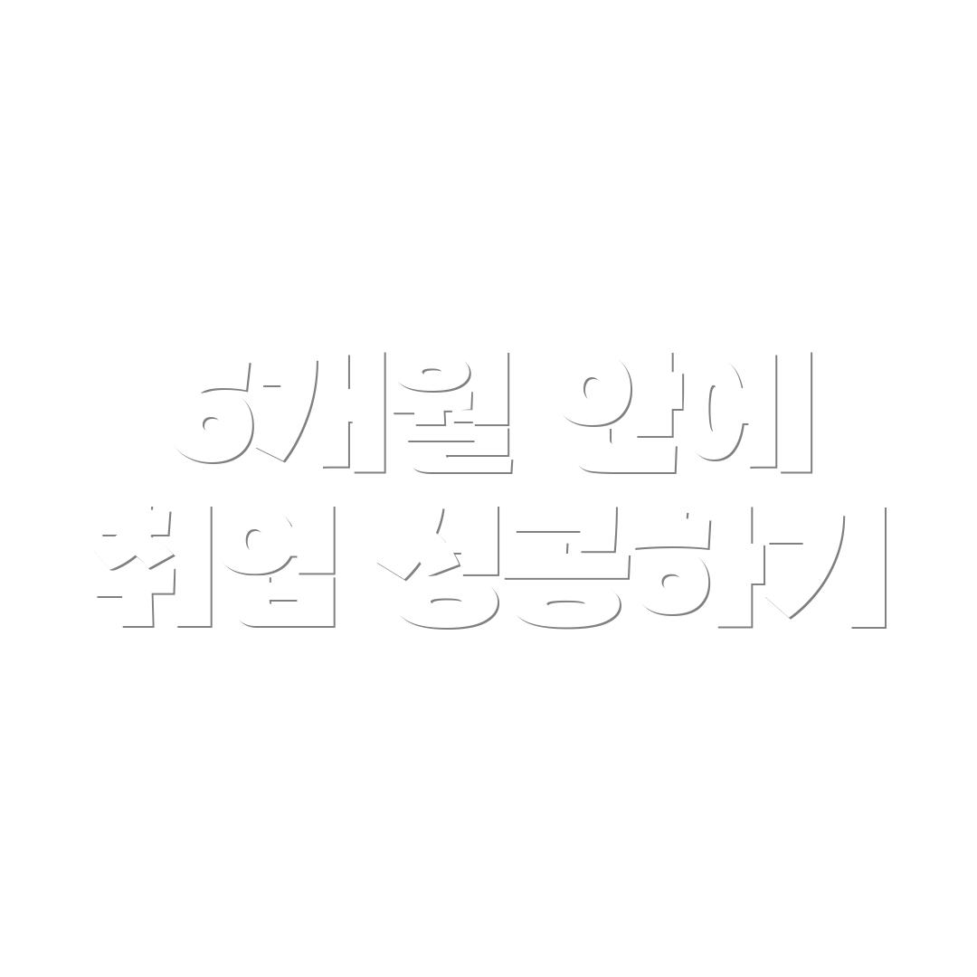 6개월 안에 취업 성공하기