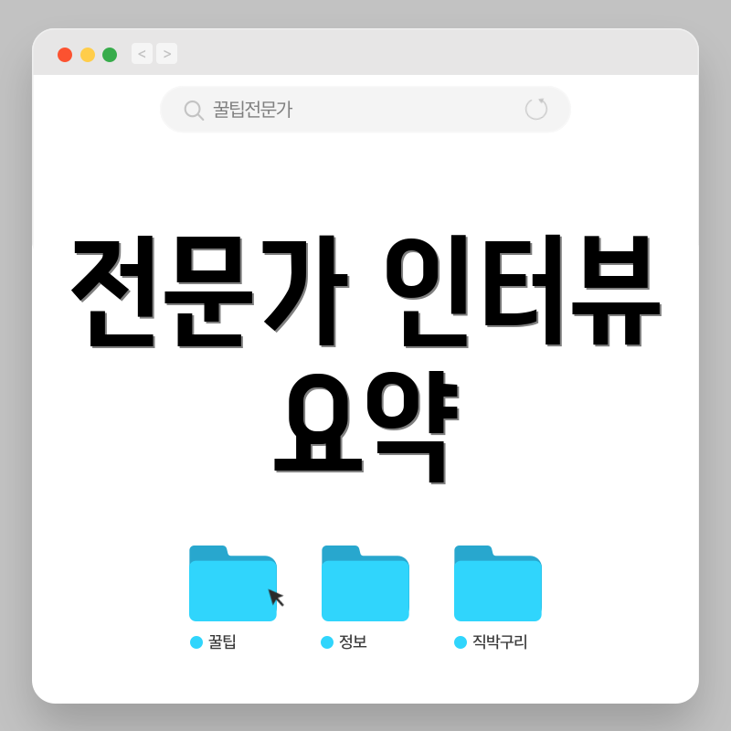 전문가 인터뷰 요약