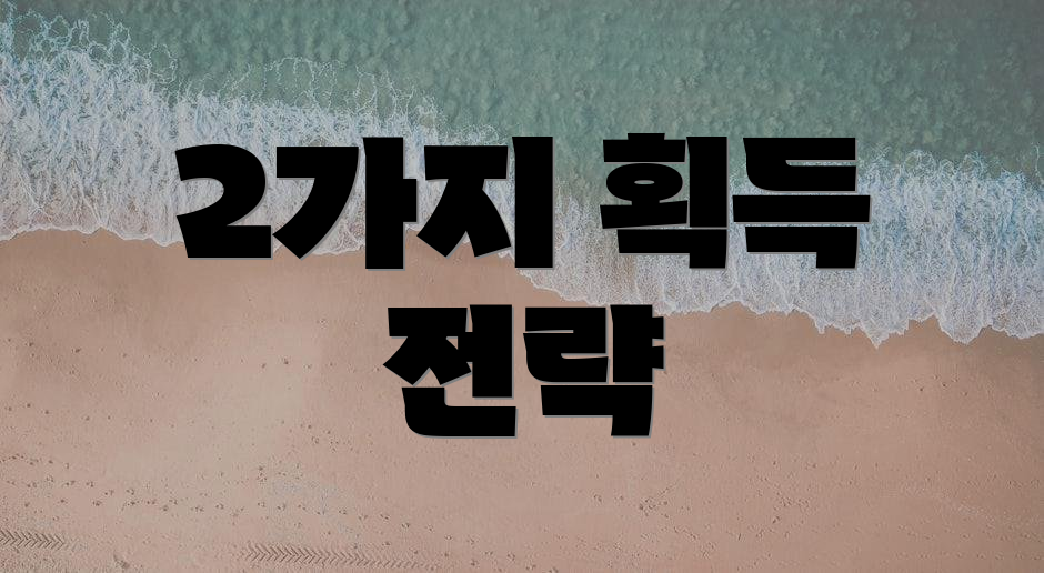 2가지 획득 전략