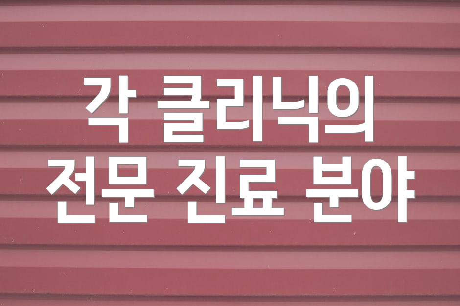 각 클리닉의 전문 진료 분야