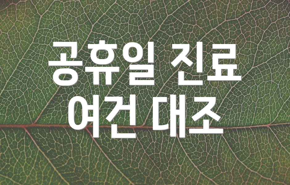 공휴일 진료 여건 대조