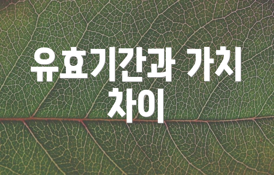 유효기간과 가치 차이