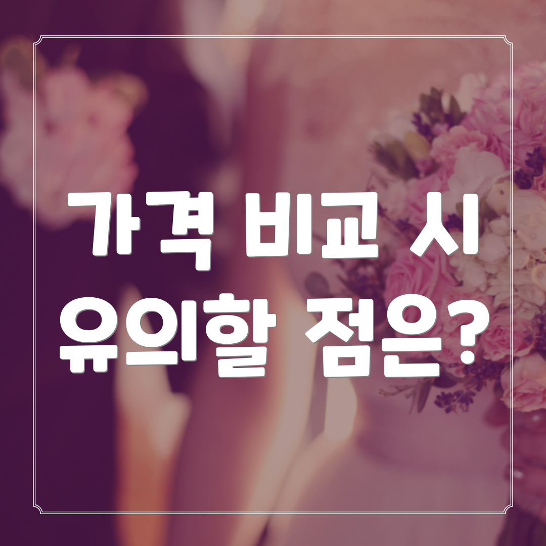 가격 비교 시 유의할 점은?