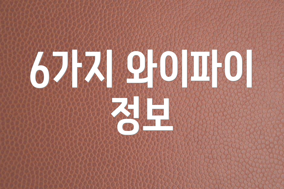 6가지 와이파이 정보