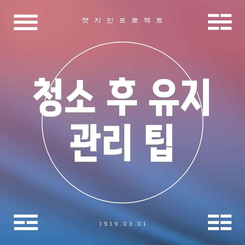 청소 후 유지 관리 팁