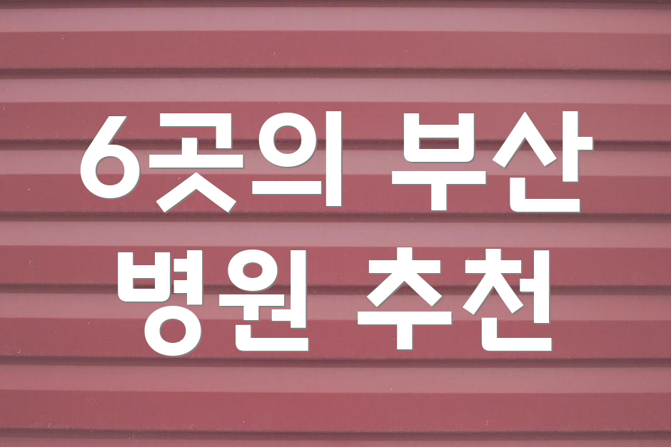6곳의 부산 병원 추천