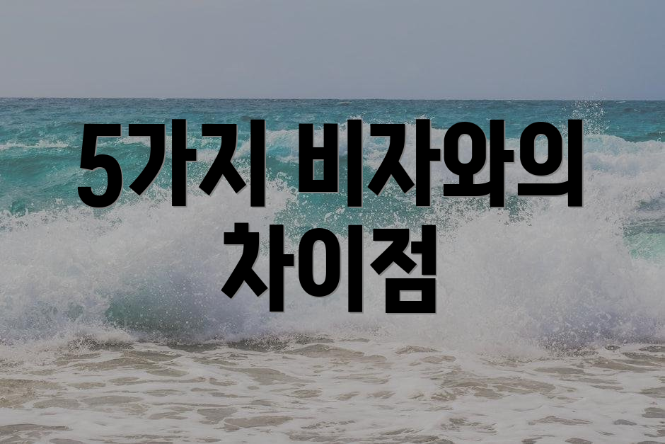 5가지 비자와의 차이점