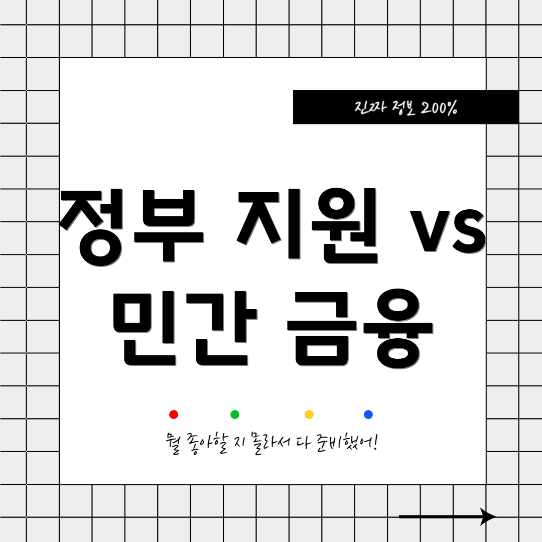 정부 지원 vs 민간 금융