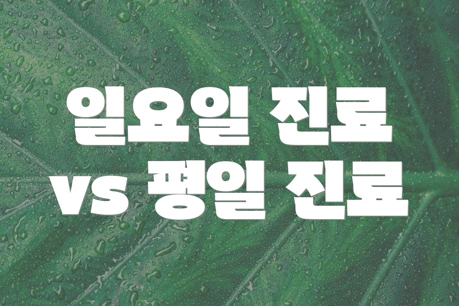 일요일 진료 vs 평일 진료