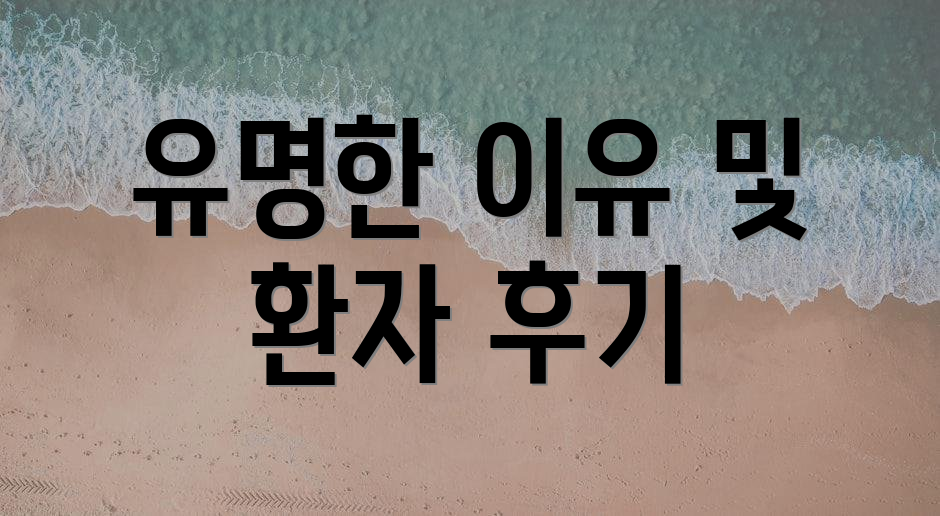 유명한 이유 및 환자 후기