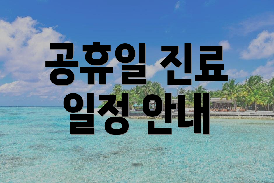 공휴일 진료 일정 안내