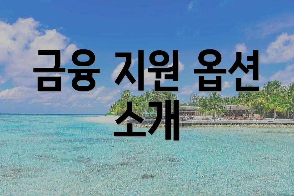 금융 지원 옵션 소개